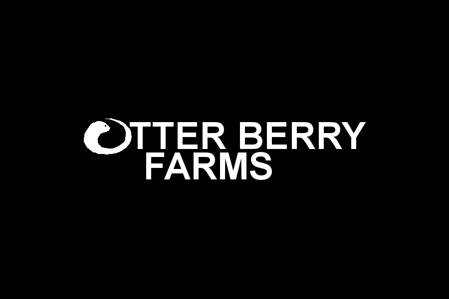 otterberrytile